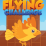 Flying Challenge