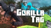 Gorillatag img