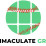 Immaculate Grid Football