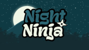 Night Ninja img