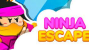 Ninja Escape img