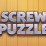 Screw Puzzle