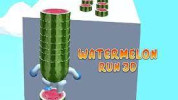 Watermelon Run img