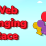 Web Slinging Race